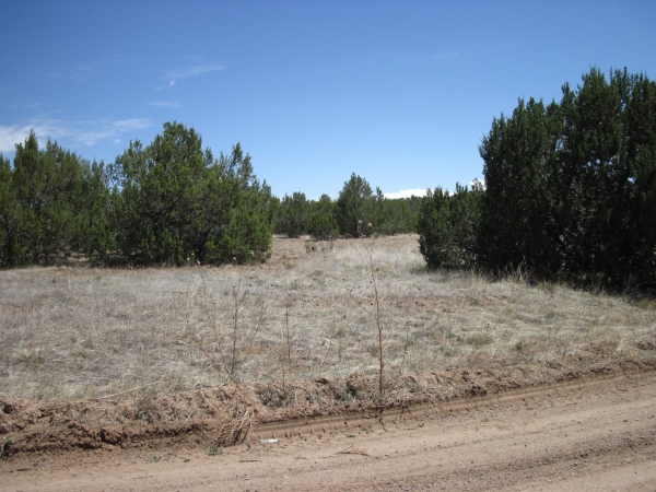 Listing Image #1 - Others for sale at 110 Jesse James Road, Edgewood NM 87015 Listing Image #1 - Others for sale at 110 Jesse James Road, Edgewood NM 87015