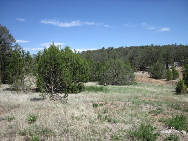Listing Image #3 - Others for sale at 110 Jesse James Road, Edgewood NM 87015 Listing Image #3 - Others for sale at 110 Jesse James Road, Edgewood NM 87015