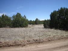 Others for sale in Edgewood, NM