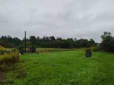 Listing Image #3 - Others for sale at 438 Pearl Street, Hobart NY 13788