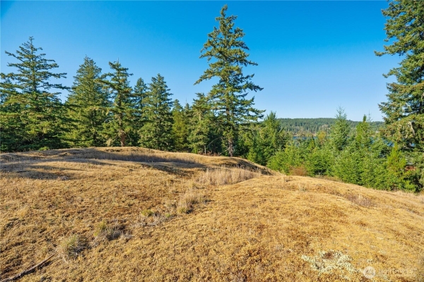 Listing Image #3 - Others for sale at Woodpecker Lane, Friday Harbor WA 98250 Listing Image #3 - Others for sale at Woodpecker Lane, Friday Harbor WA 98250