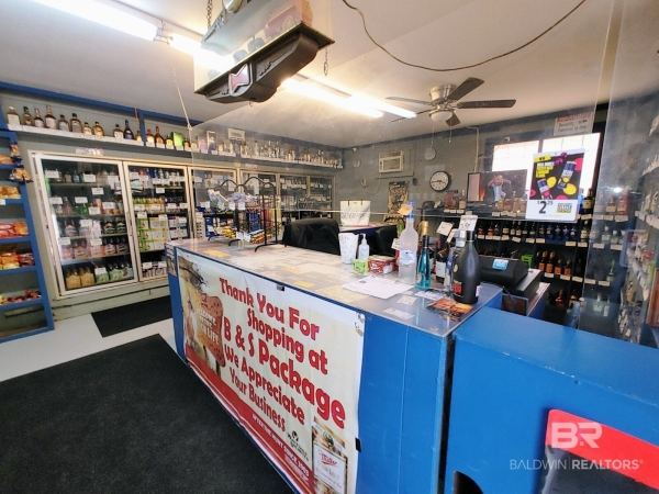 Listing Image #2 - Retail for sale at 679 Highway 17, Silas AL 36919 Listing Image #2 - Retail for sale at 679 Highway 17, Silas AL 36919