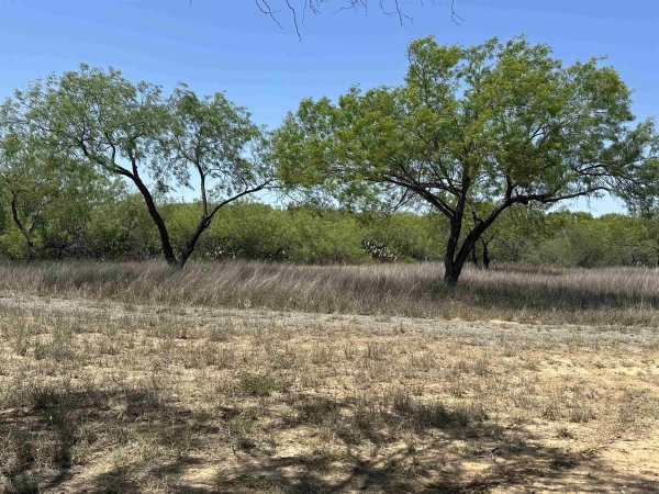 Listing Image #1 - Land for sale at 1 Well Ln, Laredo TX 78045 Listing Image #1 - Land for sale at 1 Well Ln, Laredo TX 78045