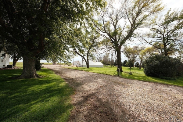 Listing Image #3 - Land for sale at 2747 360th Street, Rockvalley IA 51247