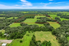 Listing Image #2 - Land for sale at 1382 CR 722, Webster FL 33597