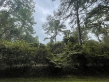 Listing Image #3 - Others for sale at 3440 Corolla, Magnolia TX 77354