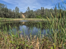 Land property for sale in Grass Valley, CA
