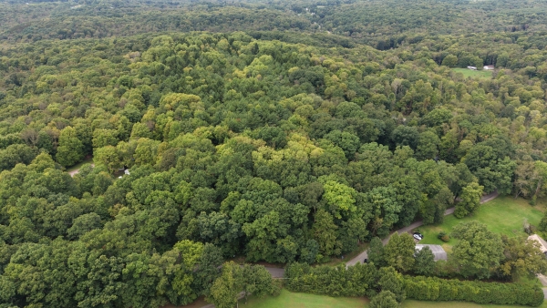 Listing Image #1 - Land for sale at Thompsontown Rd & Dingle Rd, West Sunbury PA 16061