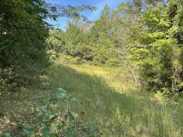 Listing Image #3 - Land for sale at 3130 Harrison Pike, Cleveland TN 37311 Listing Image #3 - Land for sale at 3130 Harrison Pike, Cleveland TN 37311