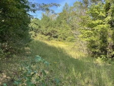 Listing Image #3 - Land for sale at 3130 Harrison Pike, Cleveland TN 37311