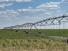 Land property for sale in Cotton Center, TX