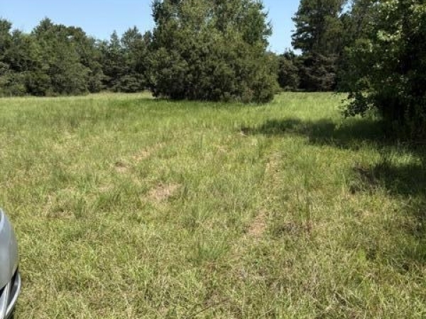 Listing Image #1 - Land for sale at 6420 Firetower Road, Kiln MS 39556 Listing Image #1 - Land for sale at 6420 Firetower Road, Kiln MS 39556