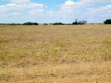 Listing Image #3 - Land for sale at 224170 E 800 Road, Taloga OK 73659