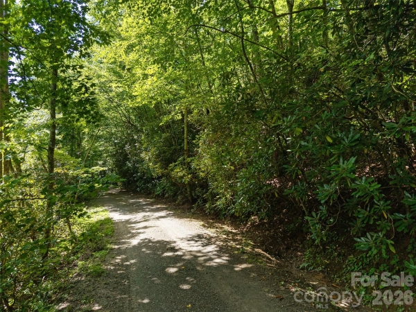 Listing Image #3 - Others for sale at 23.53 Acres Ballard Creek Road, Fairview NC 28730 Listing Image #3 - Others for sale at 23.53 Acres Ballard Creek Road, Fairview NC 28730