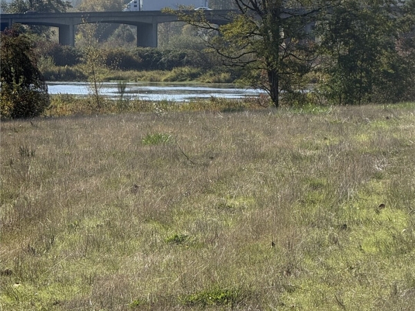 Listing Image #1 - Land for sale at 0 SW Chehalis Avenue, Chehalis WA 98532 Listing Image #1 - Land for sale at 0 SW Chehalis Avenue, Chehalis WA 98532