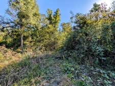 Listing Image #3 - Land for sale at 378 Ladd Springs Rd SE, Cleveland TN 37323