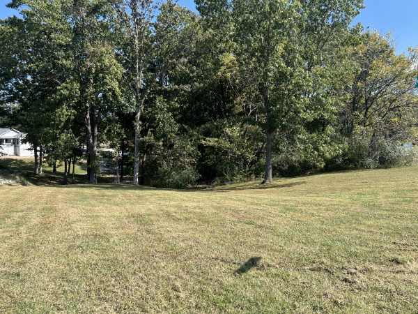 Listing Image #3 - Land for sale at Lot 42 Egypt Shores Drive, Creal Springs IL 62922 Listing Image #3 - Land for sale at Lot 42 Egypt Shores Drive, Creal Springs IL 62922