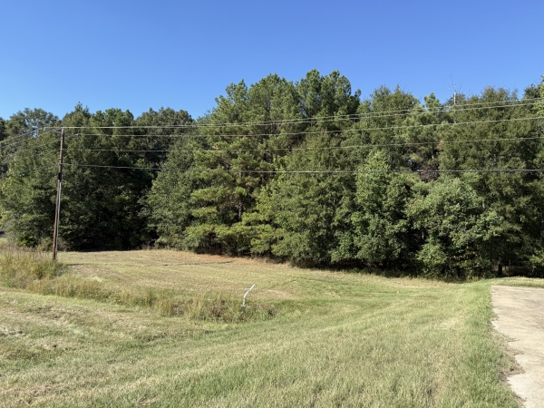 Listing Image #5 - Land for sale at 0 Lakeland Dr, Flowood MS 39232