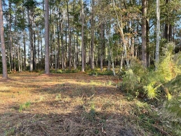 Listing Image #3 - Others for sale at 0 Old Ocilla Road, Tifton GA 31794