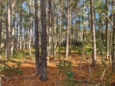 Listing Image #2 - Others for sale at 0 Old Ocilla Road, Tifton GA 31794