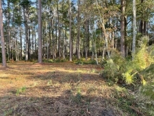 Listing Image #3 - Others for sale at 0 Old Ocilla Road, Tifton GA 31794