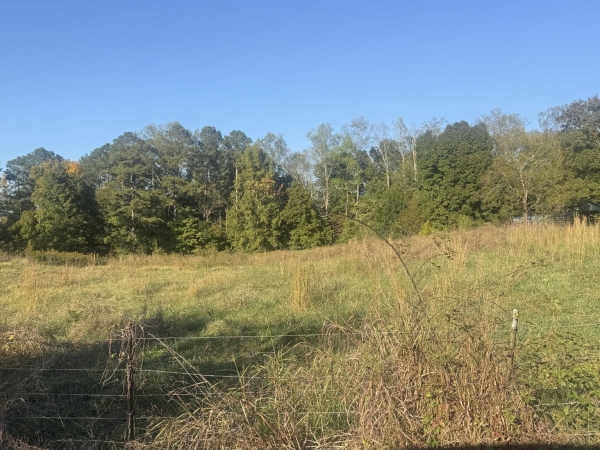 Listing Image #1 - Land for sale at 179 Teague Rd SW, Cleveland TN 37311 Listing Image #1 - Land for sale at 179 Teague Rd SW, Cleveland TN 37311