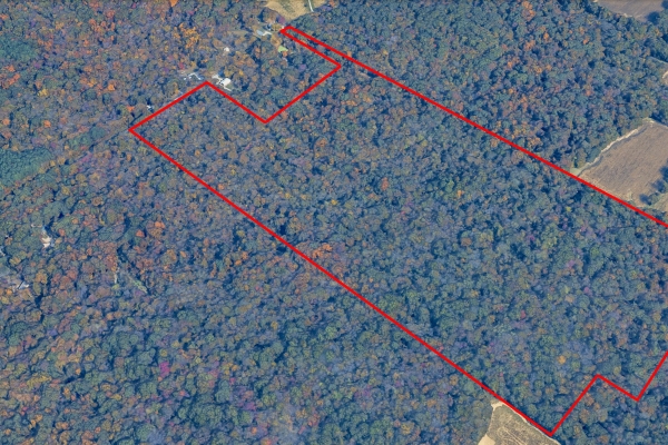 Listing Image #2 - Land for sale at 000 Fowler Rd, Marion IL 62959