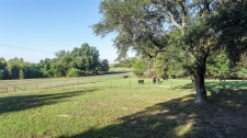 Listing Image #2 - Others for sale at 2529 W Hwy 11, Pittsburg TX 75686