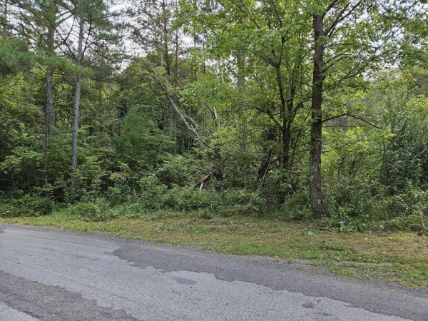 Listing Image #1 - Land for sale at 32 Belaire Drive, Copperhill TN 37317 Listing Image #1 - Land for sale at 32 Belaire Drive, Copperhill TN 37317