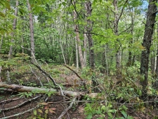 Listing Image #2 - Land for sale at 32 Belaire Drive, Copperhill TN 37317