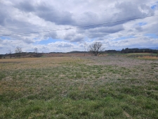 Land property for sale in Copperhill, TN