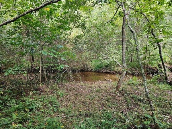 Listing Image #1 - Land for sale at Golf Course Road, Copperhill TN 37317 Listing Image #1 - Land for sale at Golf Course Road, Copperhill TN 37317