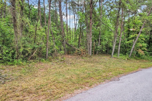 Listing Image #2 - Land for sale at Golf Course Road, Copperhill TN 37317 Listing Image #2 - Land for sale at Golf Course Road, Copperhill TN 37317