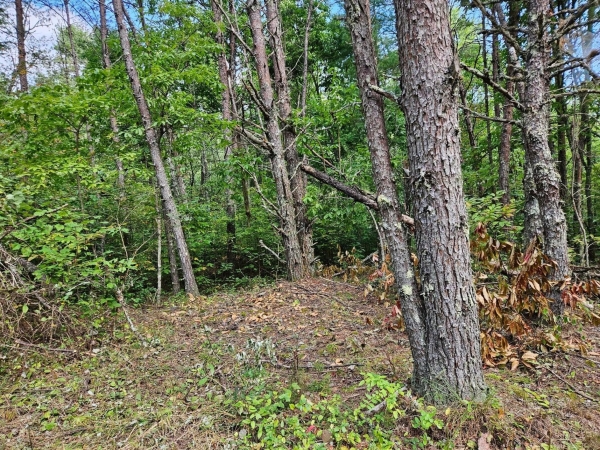 Listing Image #3 - Land for sale at Golf Course Road, Copperhill TN 37317 Listing Image #3 - Land for sale at Golf Course Road, Copperhill TN 37317