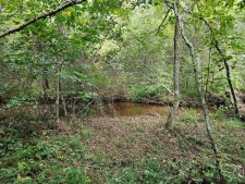 Land property for sale in Copperhill, TN