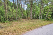 Listing Image #2 - Land for sale at Golf Course Road, Copperhill TN 37317