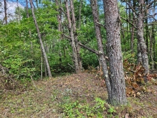 Listing Image #3 - Land for sale at Golf Course Road, Copperhill TN 37317