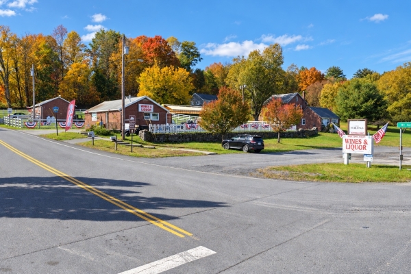 Listing Image #3 - Retail for sale at 379 & 391 Route 145, East Durham NY 12423 Listing Image #3 - Retail for sale at 379 & 391 Route 145, East Durham NY 12423