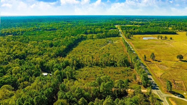Listing Image #1 - Land for sale at 000 Farm Road 2120, Clarksville TX 75426