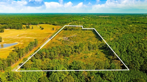 Listing Image #2 - Land for sale at 000 Farm Road 2120, Clarksville TX 75426