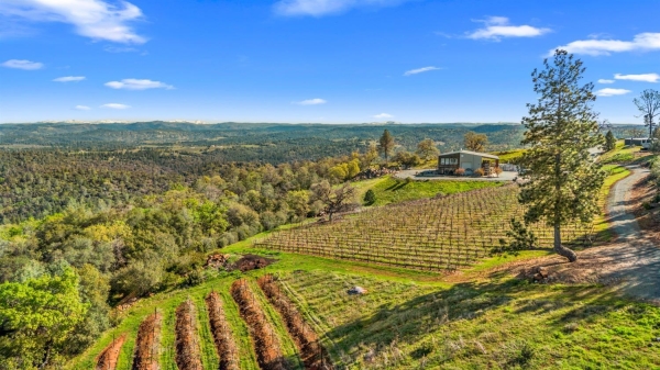 Listing Image #2 - Others for sale at 6781 Tower Road, Somerset CA 95684