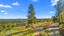 Listing Image #3 - Others for sale at 6781 Tower Road, Somerset CA 95684