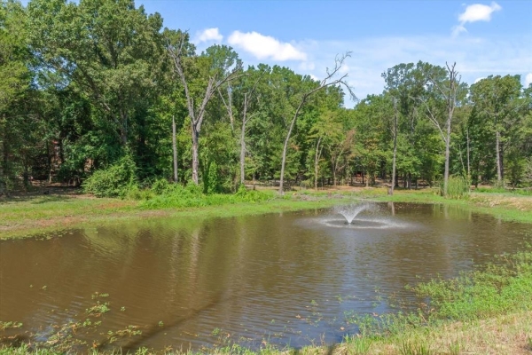 Listing Image #3 - Others for sale at 4315 VZ County Road 1117, Edgewood TX 75117 Listing Image #3 - Others for sale at 4315 VZ County Road 1117, Edgewood TX 75117