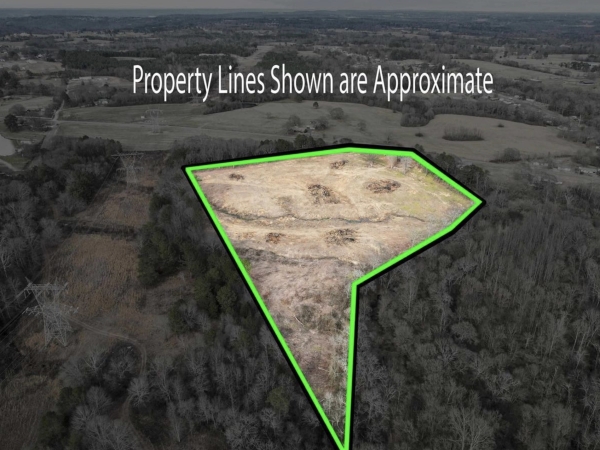Listing Image #1 - Others for sale at 0 Goodwin Road, Albertville AL 35951 Listing Image #1 - Others for sale at 0 Goodwin Road, Albertville AL 35951