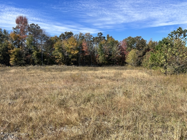 Listing Image #3 - Land for sale at 3424 Hillsboro Hwy, Manchester TN 37355
