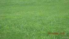 Listing Image #3 - Land for sale at 116 Hospitality Drive, Sikeston MO 63801