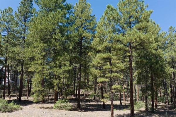 Listing Image #3 - Land for sale at 398 Iron King, Durango CO 81301 Listing Image #3 - Land for sale at 398 Iron King, Durango CO 81301