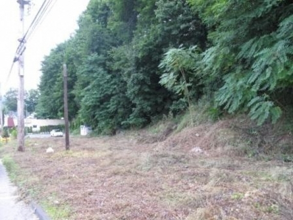 Listing Image #1 - Land for sale at 388 Elwood Ave, Hawthorne NY 10532