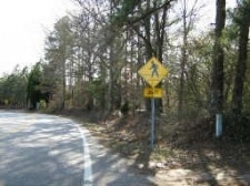 Listing Image #1 - Land for sale at 2360 TRAMMEL RD, CUMMING GA 30041