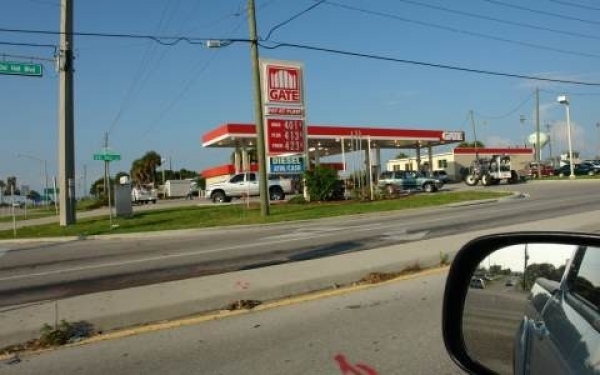 Listing Image #1 - Retail for sale at 201 Eucalyptus/Dal Hall Blvd., Lake Placid FL 33852